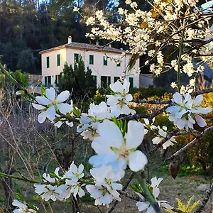 Agroturisme Finca Sa Maniga Country house Bunyola